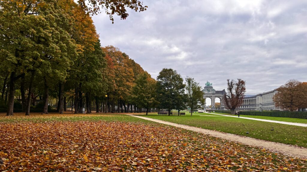 Autumnal park image